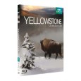 Yellowstone, la lutte pour la vie