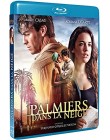 Palmiers dans la neige