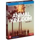 Animal Kingdom - Saison 1