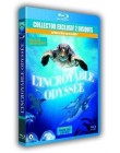 L'Incroyable odyssée