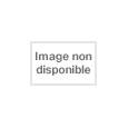 Le Dernier duel