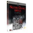 Notre-Dame brûle