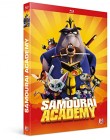 Samouraï Academy