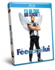 Fée malgré lui