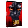 Le Chat noir