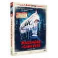 Massacre au camp d'&eacute;t&eacute; [Combo Blu-ray + DVD - &Eacute;dition Limit&eacute;e]