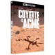 Coyote vs. ACME [Blu-ray 4K]
