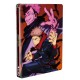 Jujutsu Kaisen - Saison 1 - STEELBOOK 4 BLU-RAY [Édition SteelBook®] [Blu-ray]