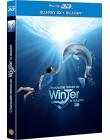 L'Incroyable histoire de Winter le dauphin