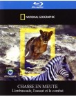 National Geographic - Chasse en meute - L'embuscade, l'assaut et le combat