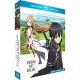 Sword Art Online - Arc 1 (SAO)